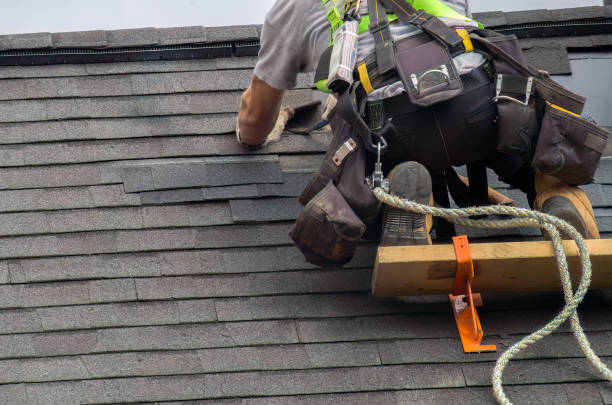 Best Storm Damage Roof Repair  in Belleville, MI