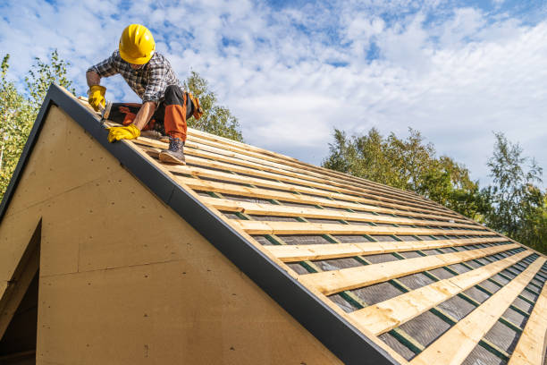 Best Roof Maintenance Services  in Belleville, MI